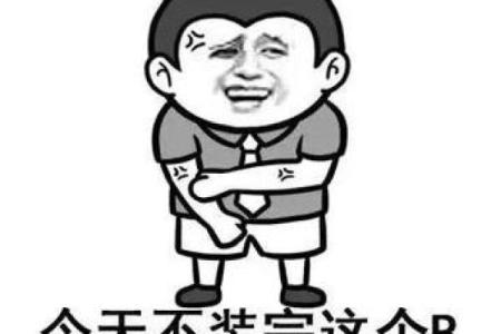 八字表情包什么意思