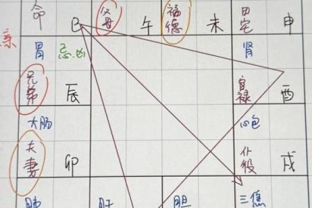 紫薇斗数紫薇落疾厄宫