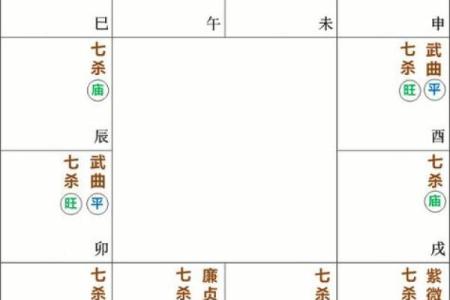 紫微斗数诸星落命宫之：七杀星详解