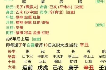 女命资产上亿的八字特点
