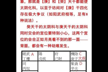 葵葵紫薇斗数