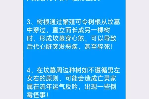墓地种什么树好风水上有哪些讲究-
