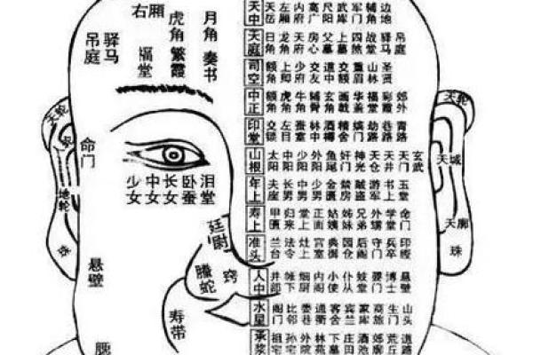 日本面相学:下巴算命 日本面相学:下巴算命