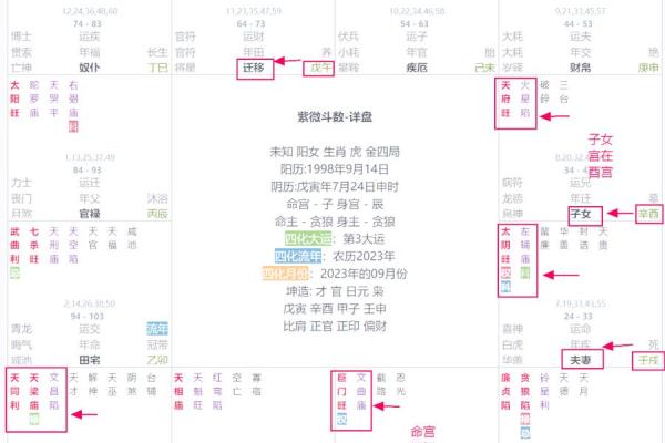 紫薇斗数的月份