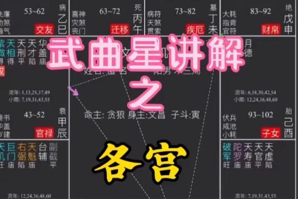 紫微斗数之财帛宫与诸星，武曲星在财帛宫是什么意思？
