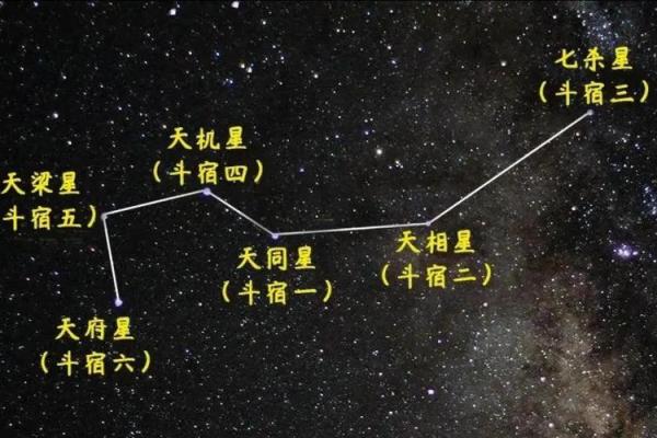 算命中天机什么意思