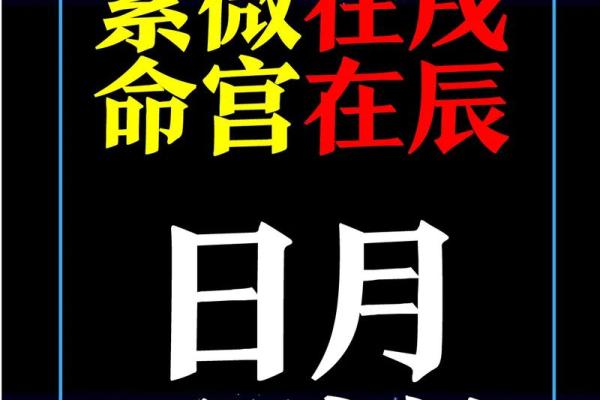 手机免费生成八字命盘，轻松查询一生命运！