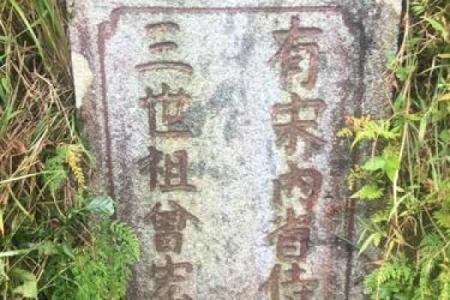 风水宝地下葬异象