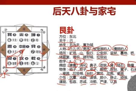 紫微斗数之八卦万物类象：艮卦详解