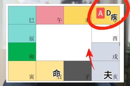 图解紫薇斗数禄忌