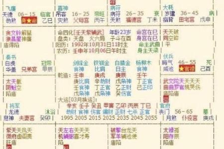 紫微斗数之诸星值限年运气推断：武曲星之限年