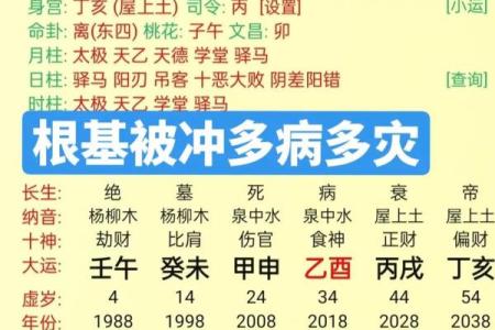 八字亥巳相冲