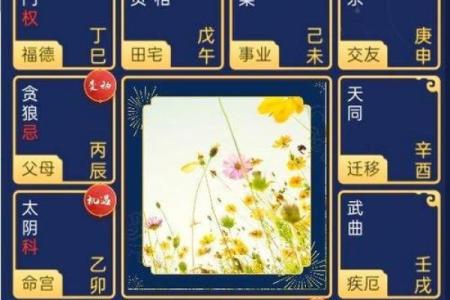 紫微斗数诸星落诸宫之：七杀星田宅宫详解