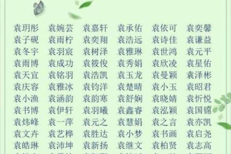 如何通过精准的八字取名来测算适合自己的名字