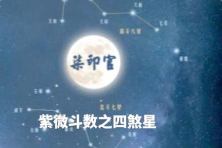 紫薇斗数命宫擎羊陷