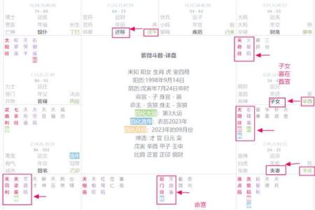紫薇斗数的月份