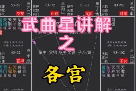 紫微斗数之财帛宫与诸星，武曲星在财帛宫是什么意思？