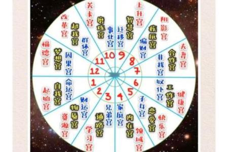 紫薇斗数辰戌宫