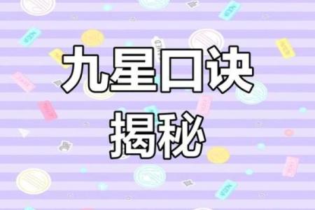 九星命理算命视频