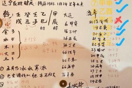 白鹤神数量指算命
