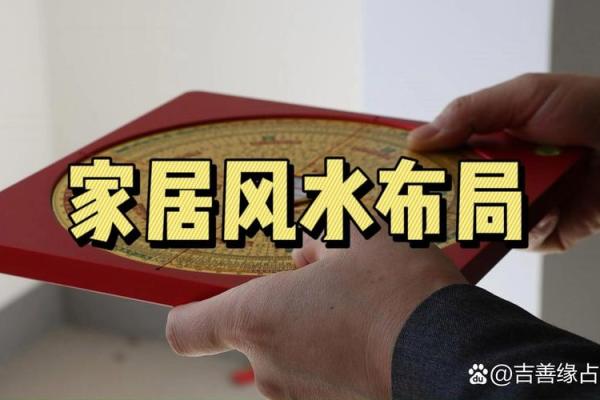 阳宅风水师告诉你 家里摆放什么才能更快的招来财气