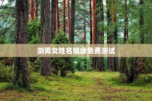 姻缘姓名配对测试免费 姻缘配对 姓名免费？