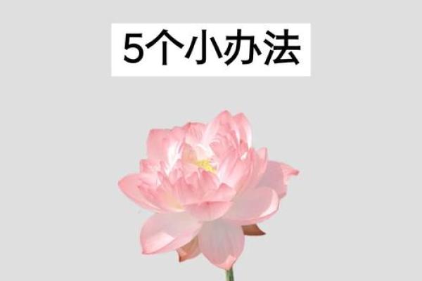 财运旺，客厅风水必须做到这些