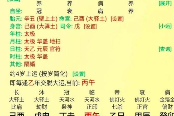 八字伤官是什么意思,女命伤官代表什么意思
