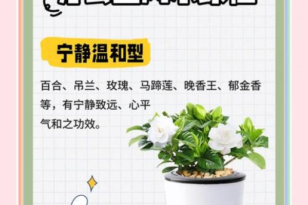 商业：办公养花风水与五行八卦