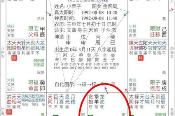 梅花占卜和紫薇斗数的区别