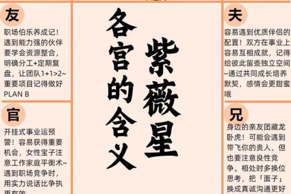 紫薇斗数看创业用什么宫位
