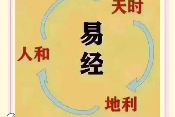 八字与职业