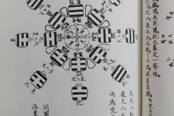 八字中的天罗运是什么意思？