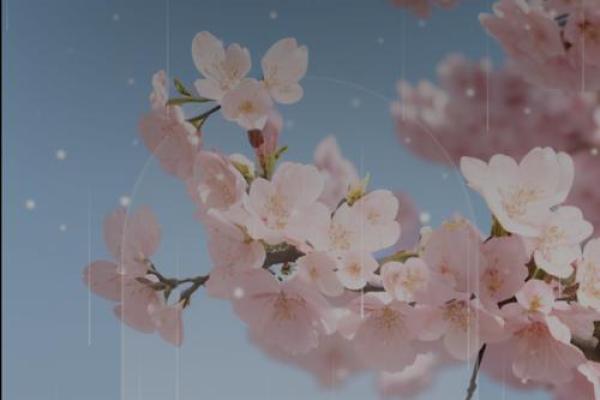 生辰八字测孩子学业有成
