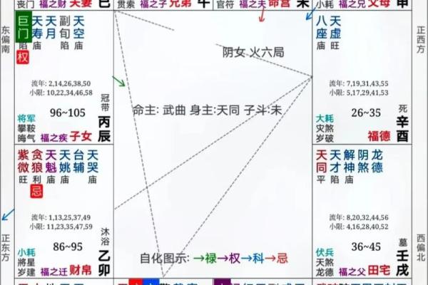 紫微斗数之事业宫与诸星，廉贞星在事业宫是什么意思？