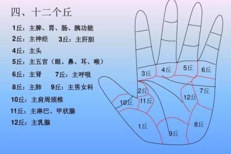 手型算命：兼型手人的性格与命运