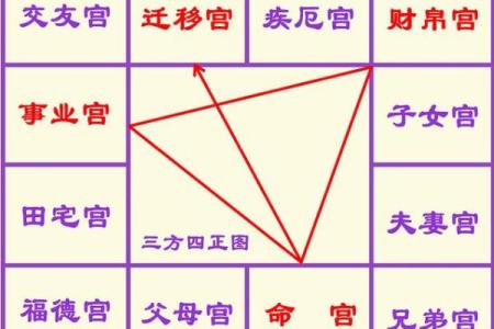 梅花占卜和紫薇斗数的区别