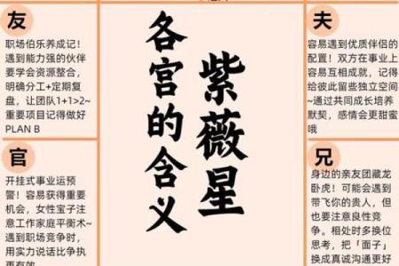 紫薇斗数看创业用什么宫位