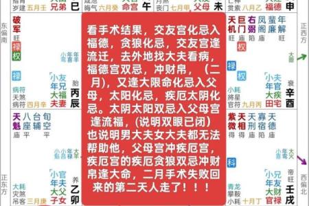 紫薇斗数里忌代表什么