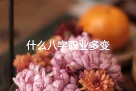 八字与职业