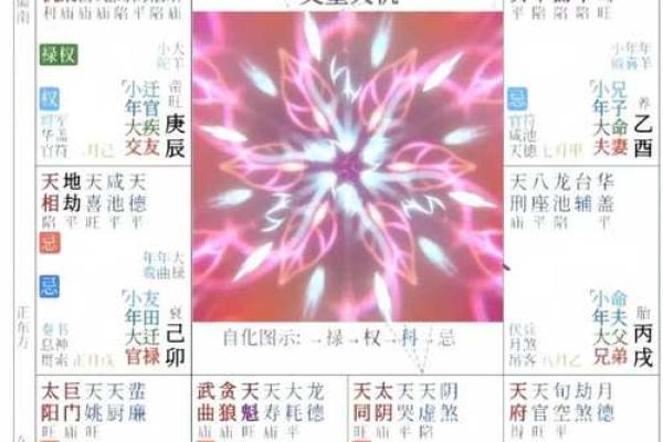 紫薇斗数流陀