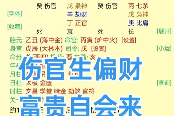 八字识命原理是什么意思