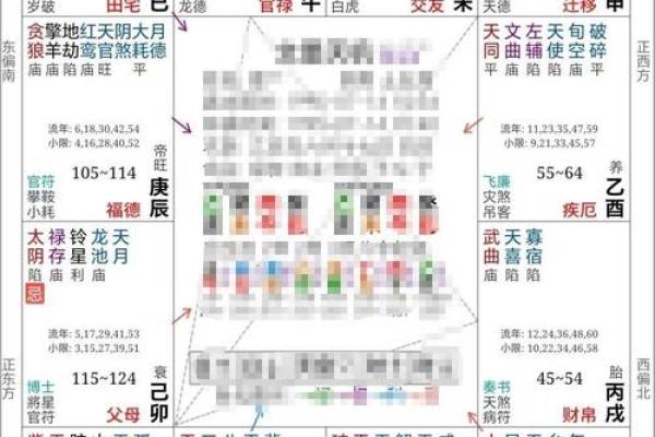 k366紫薇斗数