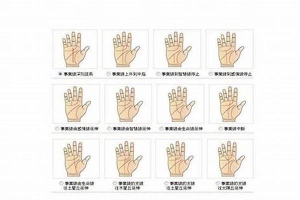 手相图解大全女右手算命 看手相算命图解女性右手