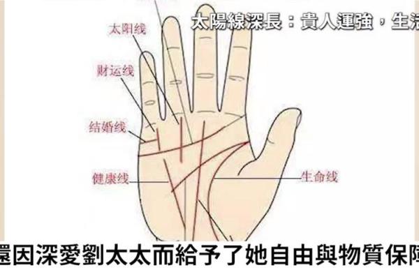 手相图解大全女右手算命 看手相算命图解女性右手