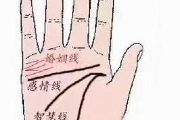 看手相算命大师免费下载