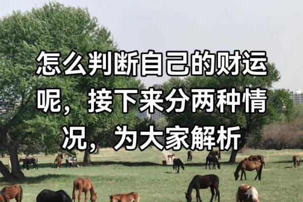 算命看财