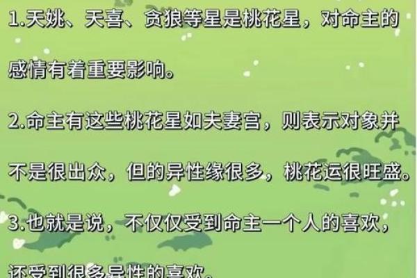紫薇斗数全文及翻译