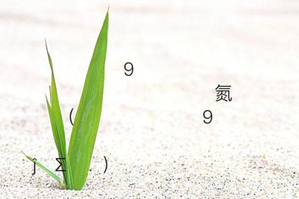 观音灵签第9签官司