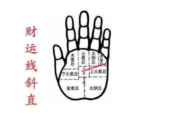 指纹算命图谱